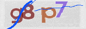 この文字を入力してください