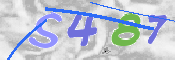 この文字を入力してください