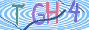この文字を入力してください