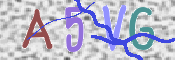 この文字を入力してください