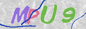 この文字を入力してください
