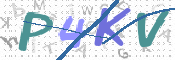 この文字を入力してください