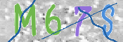 この文字を入力してください