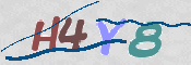 この文字を入力してください
