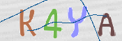 この文字を入力してください