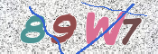 この文字を入力してください