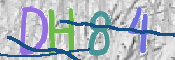 この文字を入力してください