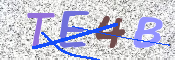 この文字を入力してください