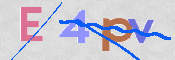 この文字を入力してください