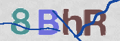この文字を入力してください