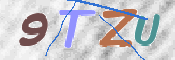 この文字を入力してください