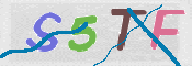 この文字を入力してください