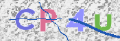 この文字を入力してください