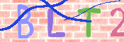 この文字を入力してください