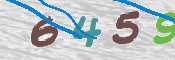 この文字を入力してください