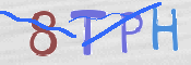 この文字を入力してください