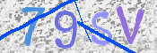 この文字を入力してください