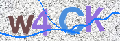 この文字を入力してください