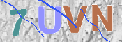 この文字を入力してください