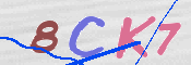 この文字を入力してください