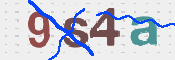 この文字を入力してください