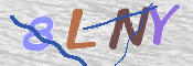 この文字を入力してください