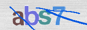 この文字を入力してください