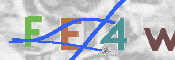 この文字を入力してください