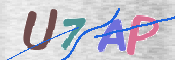 この文字を入力してください