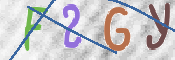 この文字を入力してください