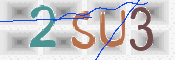 この文字を入力してください