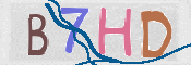 この文字を入力してください
