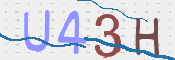この文字を入力してください