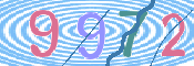 この文字を入力してください