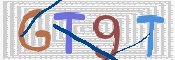 この文字を入力してください
