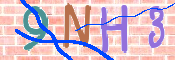 この文字を入力してください