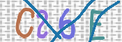 この文字を入力してください