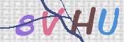 この文字を入力してください