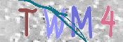 この文字を入力してください