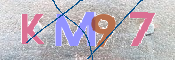 この文字を入力してください