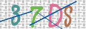 この文字を入力してください