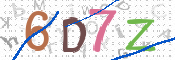 この文字を入力してください