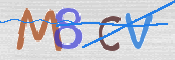 この文字を入力してください