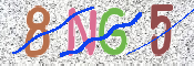 この文字を入力してください
