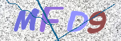 この文字を入力してください