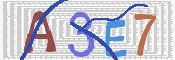 この文字を入力してください