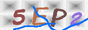 この文字を入力してください