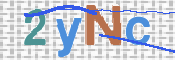 この文字を入力してください