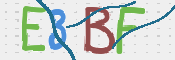 この文字を入力してください