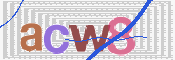 この文字を入力してください